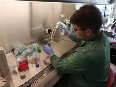 Illustration for Centro Nacional de Investigaciones Cardiovasculares (CNIC)